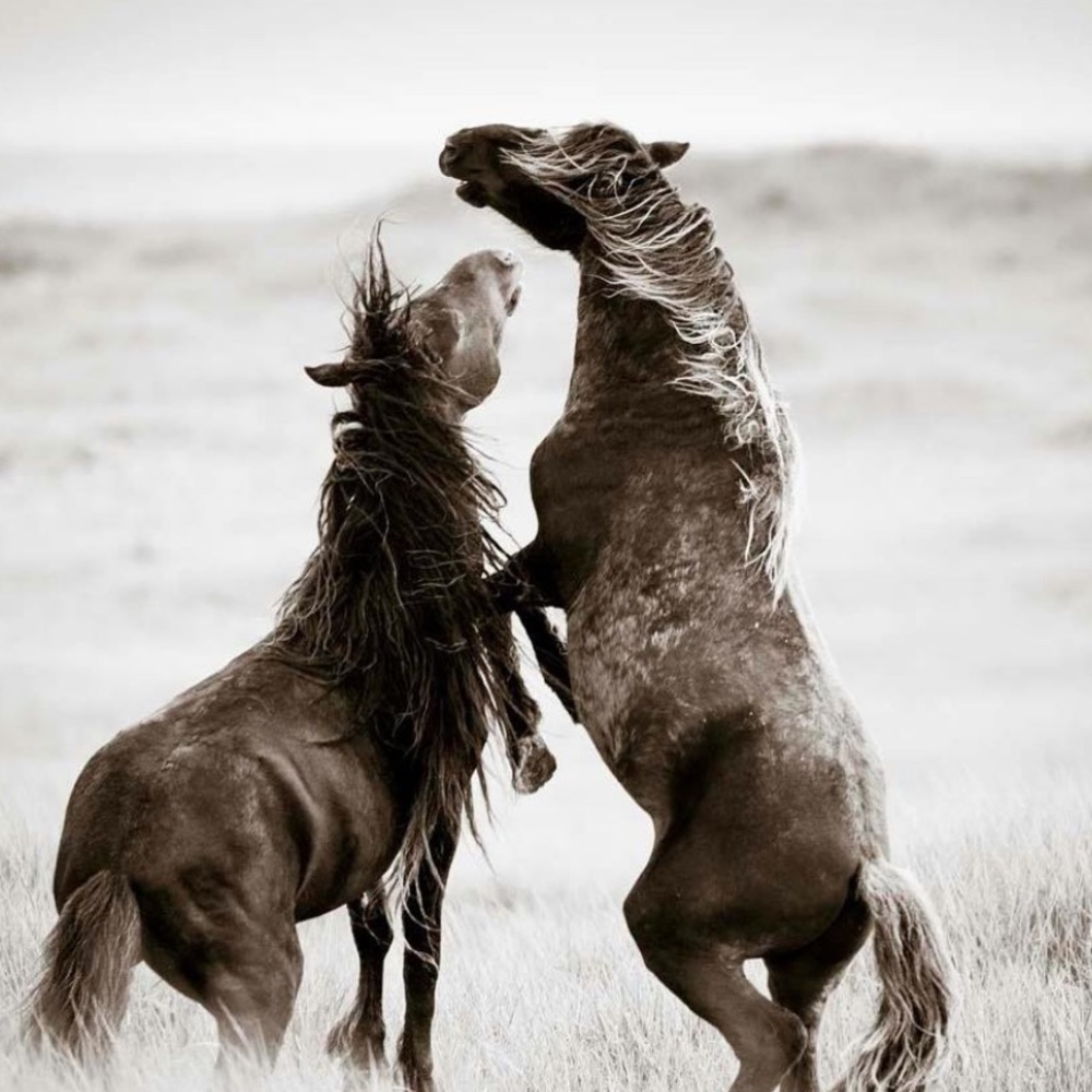 Meet your Posher, Cynthia